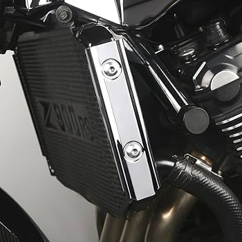 Amazon | Z900RS 2018-2020 ラジエターサイドカバー 左右セット